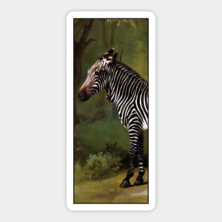 Zebra by George Stubbs Sticker